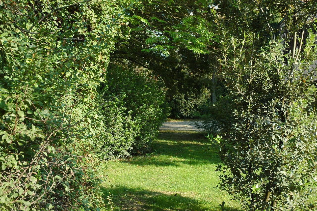 B&B Villa Dei Calchi - Suite Room Di Charme San Felice sul Panaro Exterior foto